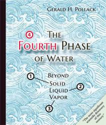 Fourth Phase of Water: Beyond Solid, Liquid and Vapor