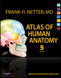 Atlas of Human Anatomy 5th Edition with Access Code - Soft Cover
