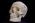 Osteo Cast Male Skull, Three Piece BC-092 w/ Calvarium Cut