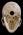 Osteo Cast Male Skull, Three Piece BC-092 w/ Calvarium Cut