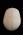 Osteo Cast Male Skull, Three Piece BC-092 w/ Calvarium Cut