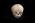 Osteo Cast Fetal Skull - 32 weeks  BC-181