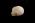 Osteo Cast Fetal Skull - 32 weeks  BC-181