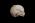 Osteo Cast Fetal Skull - 20 weeks BC-194