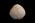 Osteo Cast Fetal Skull - 35 weeks old - BC-227