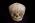 Osteo Cast Fetal Skull - Full Term 40 1/2 Weeks BC-228