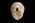 Osteo Cast Fetal Skull - Full Term 40 1/2 Weeks BC-228