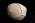 Osteo Cast Fetal Skull - Full Term 40 1/2 Weeks BC-228