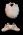 Somso Sphenoid and Occiput QS9-3-10 & -11